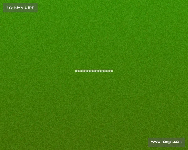 英超引领足球革新新技术应用探索与未来发展趋势分析 英超引领足球革新新技术应用探索与未来发展趋势分析