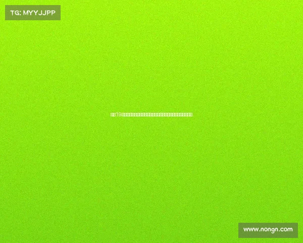 曼联19岁前锋伊森惠特利租借加盟英甲北安普顿助力球队冲击联赛积分